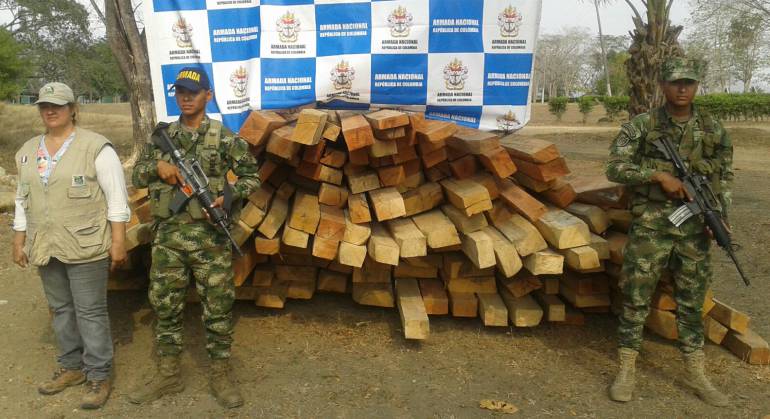 tráfico ilegal de madera